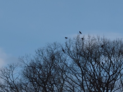 20251230_152403_copy_1672x1252