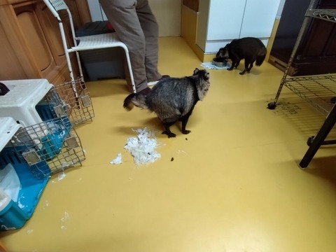 20251103_070315_copy_816x612