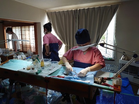 DSC_0303_copy_800x600