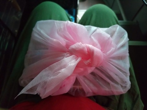 20251003_095448_copy_800x600