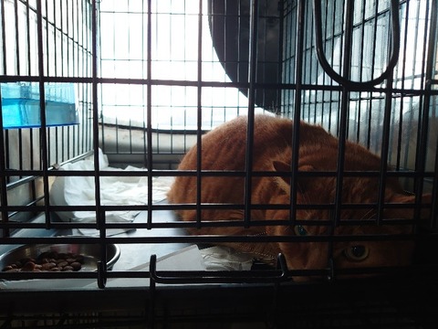 DSC_1895_copy_800x600