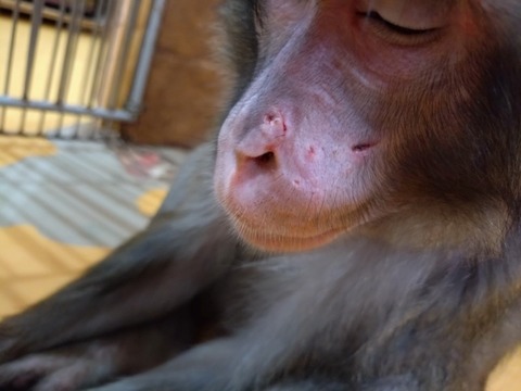 20260223_090340_copy_800x600