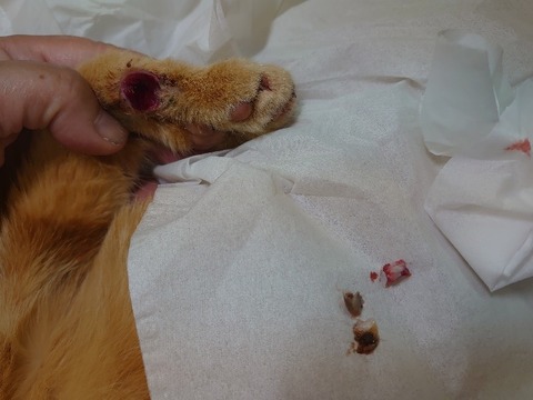 DSC_1654_copy_800x600