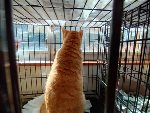 20260223_102143_copy_800x600