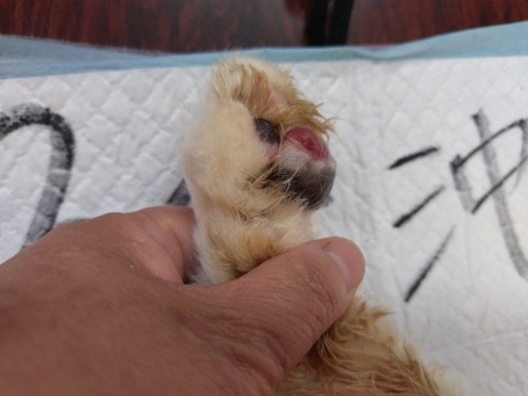 20251126_074222_copy_800x600