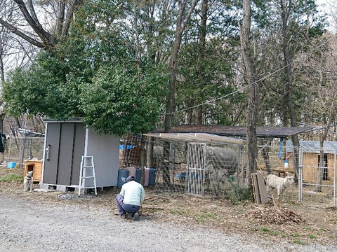 DSC_6554_copy_800x600