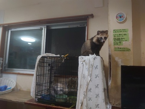 DSC_1662_copy_800x600