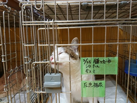 DSC_5744_copy_800x600