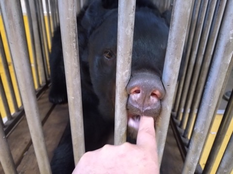 20251231_071940_copy_800x600