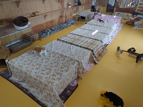 DSC_1280_copy_800x600