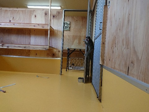 DSC_5858_copy_800x600