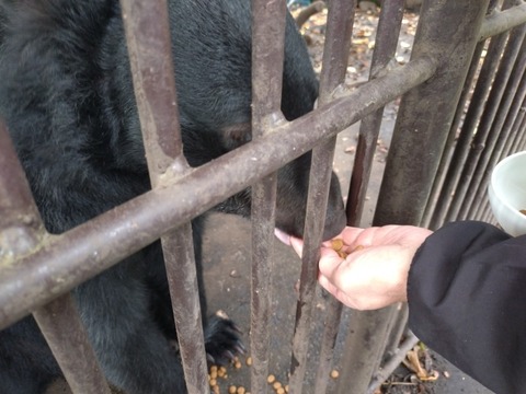 20251106_120813_copy_800x600