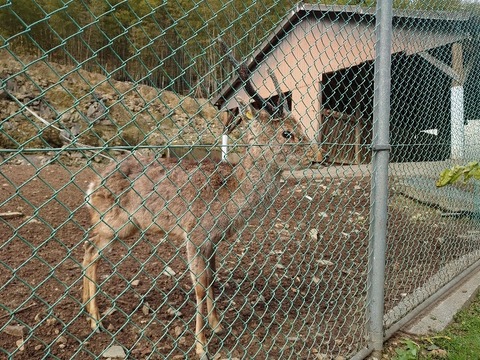 DSC_2839_copy_800x600