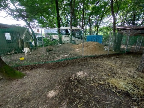 20240810_150445_copy_800x600