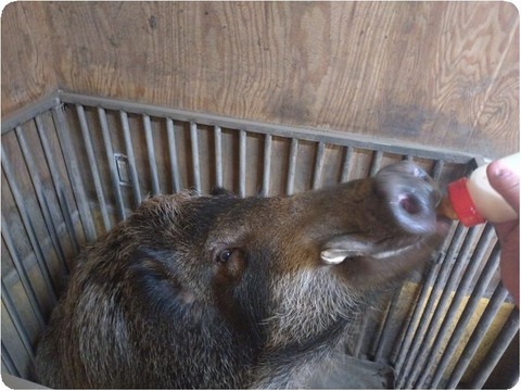 DSC_0000_BURST20250918084827509_COVER