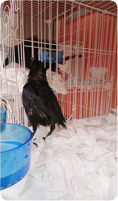 DSCPDC_0003_BURST20180627083.JPGjpg