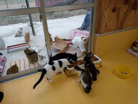 20251225_143342_copy_800x600