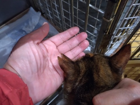 20251209_141432_copy_800x600