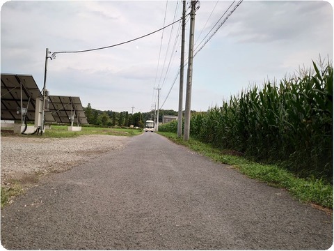 DSC_7166