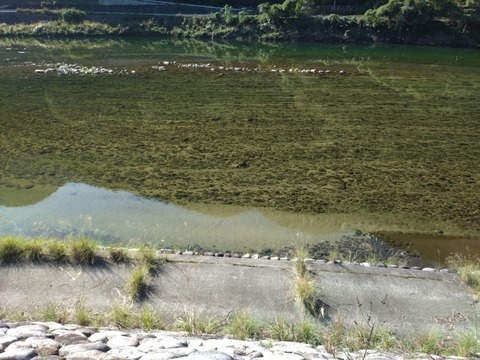 20251023_093131_copy_800x600