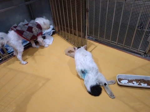 20251206_083601_copy_800x600