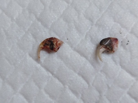 20230129_105859_copy_800x600