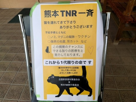 20230620_144854_copy_800x600