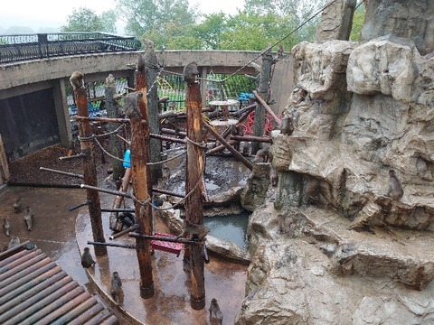 DSC_0334_copy_800x600