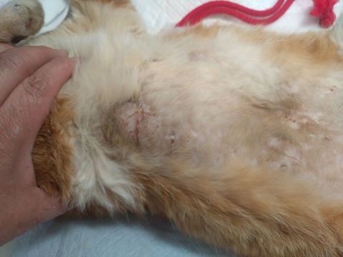 20260120_153645_copy_800x600