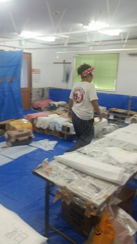 1566369625868-600x1066