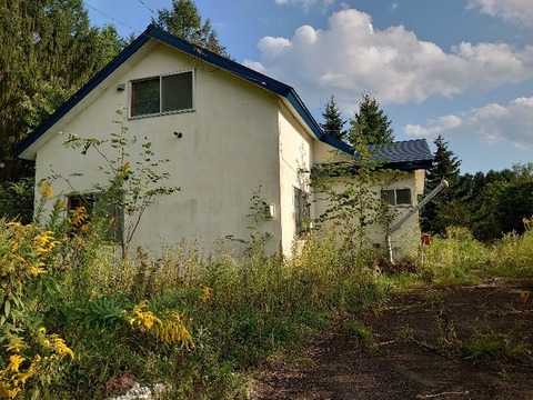 DSC_0305_copy_800x600