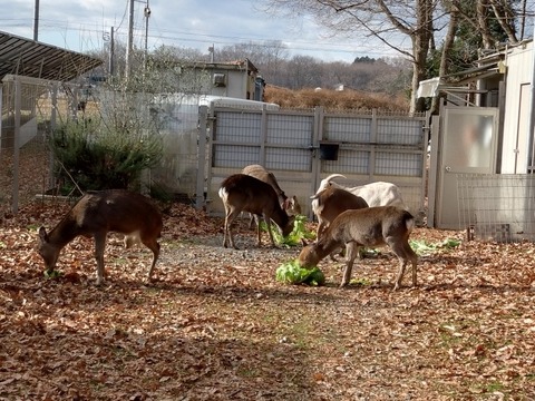 20251229_094122_copy_816x612