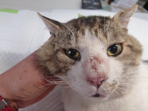 20230620_090225_copy_800x600