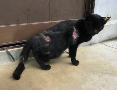 1601676984082_copy_800x615