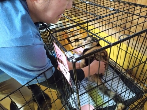 20260304_080510_copy_800x600