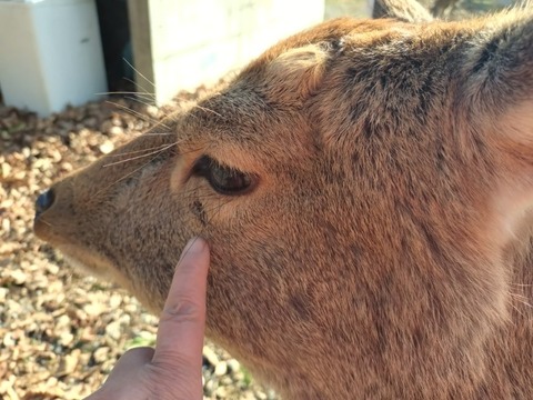 20260105_112027_copy_800x600