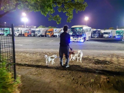 20230420_191123~2_copy_800x600