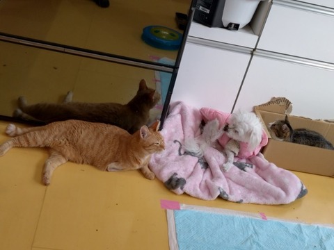 20251127_103122_copy_800x600