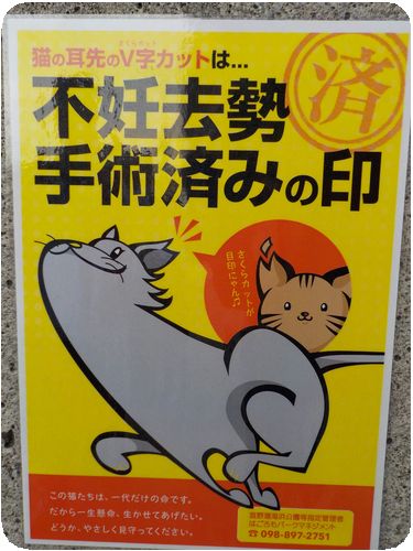 DSCN4990