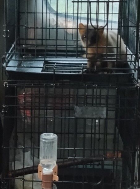 20251004_074511_copy_453x612