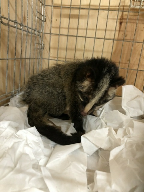 1579681165931-600x800