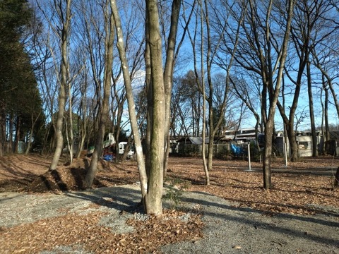 20251227_142537_copy_800x600