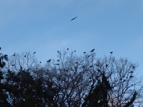 20260202_144810_copy_800x600