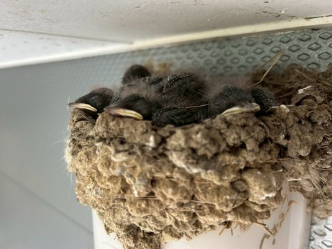 1761851947948_copy_738x554