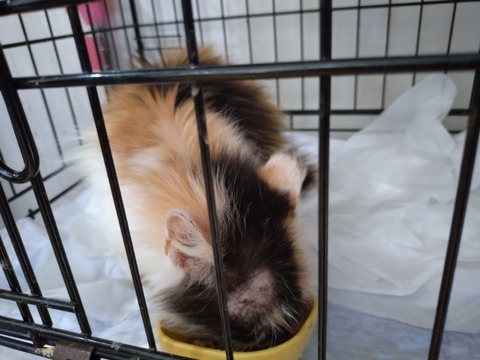 20260223_123542_copy_800x600