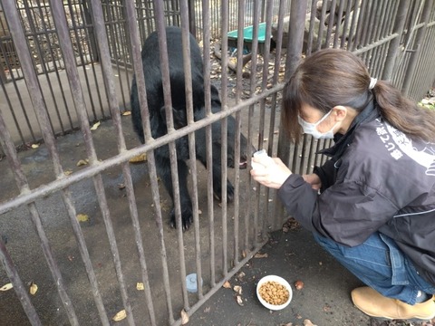 20251106_120648_copy_800x600