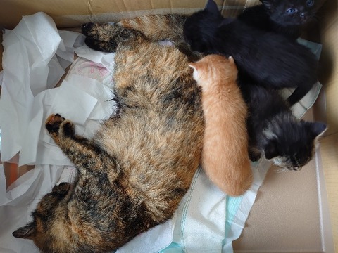 DSC_5682_copy_800x600