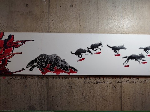 DSC_0329_copy_800x600