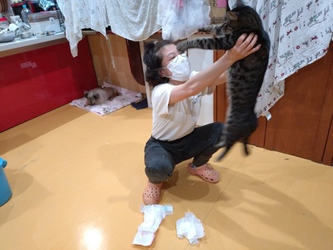 20251219_080833_copy_800x600