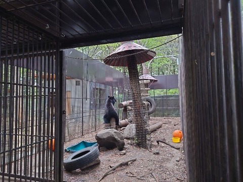 20230421_163538_copy_800x600